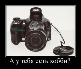 Что такое хобби?