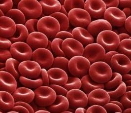 Можно ли при помощи теста определить уровень железа в крови?