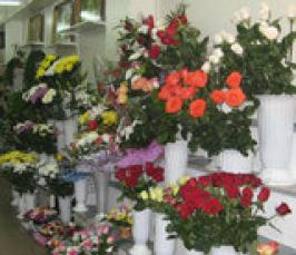 Выгоден ли цветочный бизнес?