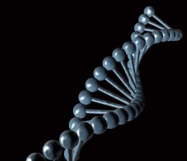 Генетический код. Что такое генетический код? 