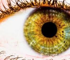 Почему  у человека цвет глаз не может быть желтого цвета?