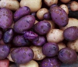 Фиолетовый картофель пробовали?