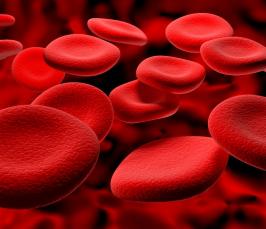 Какая группа крови самая распространенная?