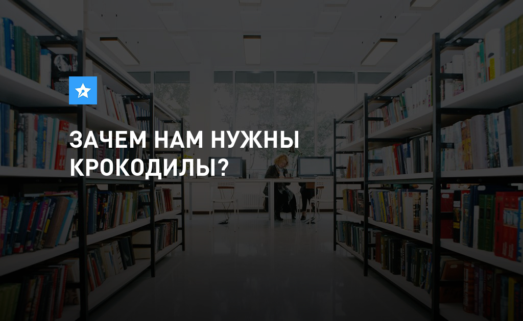 Какая польза человеку от крокодила Какая польза человеку от крокодила thumbnail